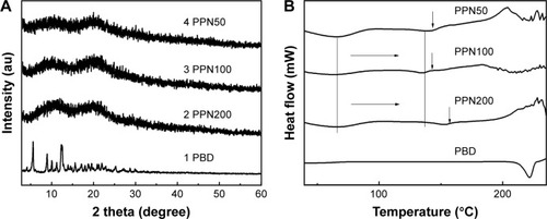 Figure 3 XRD (A) and DSC (B) patterns of PBD and PPN.Abbreviations: XRD, X-ray powder diffraction; DSC, differential scanning calorimetry; PBD, paclitaxel bulk drug; PPN, pure paclitaxel nanoparticles.