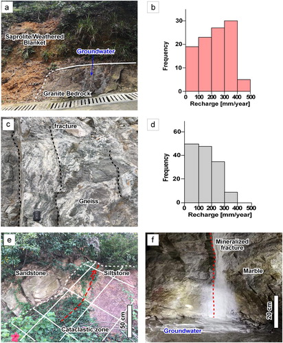 Figure 4. Field evidence from Pearl River Delta: (a) contact between saprolite/weathered blanket (aquifer) and granite bedrock (aquitard), ephemeral groundwater discharge into a road ditch; (b) recharge rate frequency distribution for catchments characterized by the intrusion unit; (c) gneiss with sparse fractures; (d) recharge rate frequency distribution for catchments characterized by basement unit and/or Mesozoic to Paleozoic terrigenous unit; (e) contractional tectonic contact between sandstone and siltstone intersected by a cataclastic zone that locally increases rock-mass permeability; (f) karstified and mineralized fracture in marble with flowing groundwater, observed during tunneling.