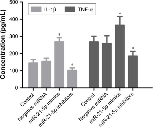 Figure 8 Effects of miR-21-5p on the expressions of IL-1β and TNF-α cytokines.