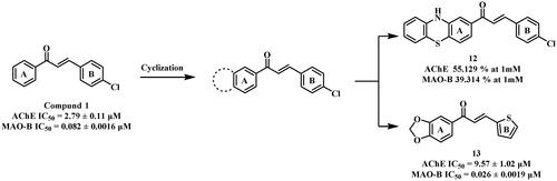 Figure 5. Structures of compound 1-based derivatives.