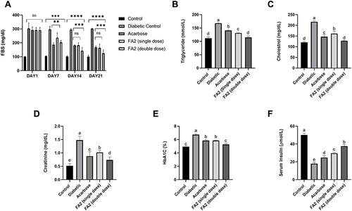 Figure 5 Biochemical analysis on alloxan-induced diabetic mice compared with acarbose (A–F). A represents fasting blood sugar level (FBS),**= p < 0.05, ***= p < 0.001, ****= p < 0.0001 (B and C) shows testing triglyceride and cholesterol level, (D and E) represents creatine and HbA1c level in blood and F indicates serum insulin level in blood All groups were kept in hygienic polypropylene cells and temperature-controlled animal house for 21 days. Data points and error bars represent the mean ± SD of five replicates (n=5). Different letters represent significant differences (P < 0.05) among various treatments and controls.