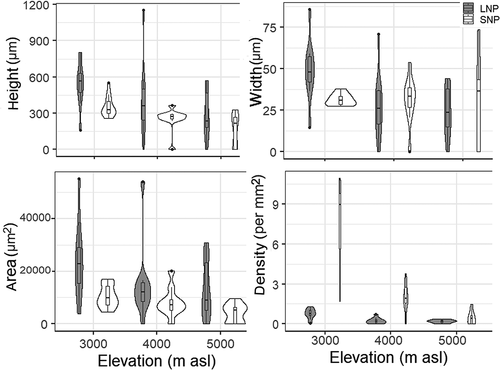 Figure 6. Variation in multiseriate ray features in the samples collected from LNP and SNP.