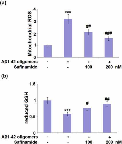 Figure 2. Safinamide ameliorated Aβ1-42 oligomers-induced oxidative stress in M17 neuronal cells. Cells were stimulated with Aβ1-42 oligomers with or without safinamide (100, 200 nM) for 24 hours. (a). ROS was measured; (b). The levels of reduced GSH were assayed (***, P < 0.01 vs. vehicle group; #, ##, ###, P < 0.05, 0.01, 0.005 vs. Aβ1-42 oligomers group).