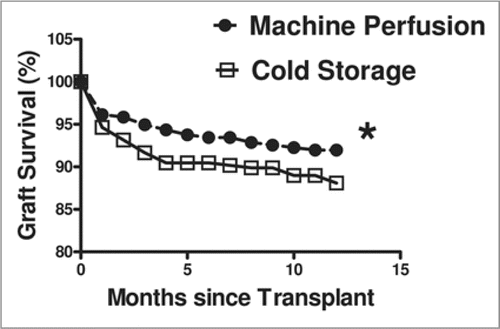 Figure 1 Graft survival comparison of paired kidneys preserved by simple cold storage or hypothermic machine perfusion.