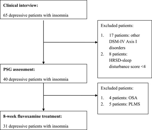 Figure 1 Flowchart representing the selection of depressive patients with insomnia.