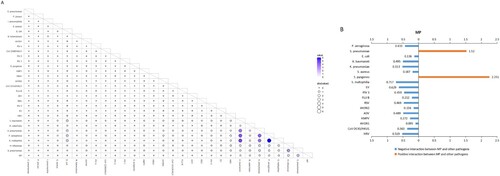 Figure 3. Co-detected pattern and interactions of MP and other respiratory pathogens in patients with acute respiratory tract infection in Beijing, China, from January 1, 2015, to December 31, 2020. (A) Co-detected pattern of MP and other respiratory pathogens. Co-detected rates were calculated pairwise. A total of 30 indicators were included (15 respiratory virus-related, 13 respiratory bacteria-related and MP, Chlamydia pneumoniae; except inﬂuenza virus A). For pathogens “X” and “Y”, the numerator was the number of patients in whom “X” and “Y” were co-detected, and the denominator was the total number of patients who were both tested “X” and “Y”. Bigger size and darker colour of the circles indicate higher co-detected rates between two pathogens. (B) The interactions among MP and other pathogens were estimated by host-scale logistic regressions. Positive interactions with two-sided P-value <0.05 are denoted with orange bars and the negative interactions with two-sided P-value <0.05 are denoted with blue bars. The P values were not adjusted for multiple comparisons. The length of the coloured bars and the adjacent number indicate the odds ratio (OR) of the interaction. The interaction was determined as significant both without adjusting for multiple pathogens and with adjusting for multiple pathogens. Influenza virus AH1N1 2009 pandemic and AH3N2 (AH1N1, AH3N2), inﬂuenza virus B (FLU B), respiratory syncytial virus (RSV), parainﬂuenza virus 1, 2, 3, and 4 (PIV 1, 2, 3, 4), adenovirus (AdV), human rhinovirus (HRV), human metapneumovirus (HMPV), human coronavirus 229E/NL63, OC43/HKU1 (CoV 229E/NL63, OC43/HKU1), human bocavirus (HBoV), human enterovirus (EV).