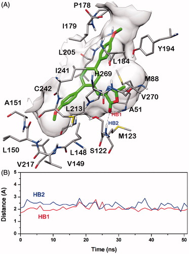 Figure 4. Minimised average structure of compound 20b docked into MAGL receptor (A) and analysis of 20b-MAGL H-bond interactions (B). The plot shows the distance analysis for the two H-bonds (i.e. HB1 and HB2).
