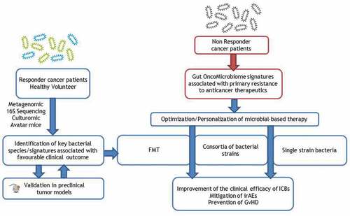 Figure 1. Therapeutic strategy involving microbial products to circumvent primary resistance to anticancer treatments.