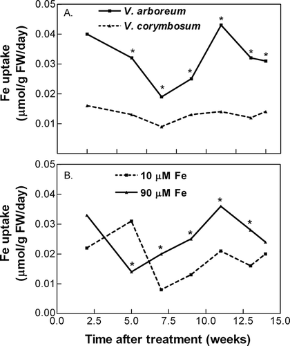 FIGURE 3 Species (A) and external iron concentration (B) effects on iron uptake. External nitrate concentration had no significant effect on uptake rate, thus data were pooled across nitrate concentration and across external iron concentration (A) or species (B). Asterisks indicate significant differences in uptake rate, p ≤ 0.05 (n = 20).