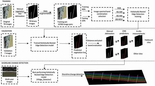 Figure 2. Overview of the three stages carried out in this study. Four holistically nested edge detection (HED) models were independently trained using different spectral band combinations (training). The performance of each HED model was evaluated using a separate image set (validation). The best performing HED model, trained on images with spectral band combination red, green, near-infrared (RG-NIR), formed the VEdge_Detector tool. This tool detected the vegetation line position from multiple images of the same shoreline captured over a 10-year period (shoreline change detection).