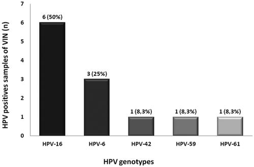 Figure 1. HPV detection in VIN biopsies. Positivity and genotyping of human papillomavirus (HPV) detected in vulvar neoplasia samples (VIN).