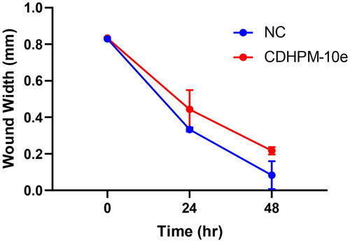 Figure 11. Wound healing inhibition in CDHPM-10e-treated MCF-7 cell line.