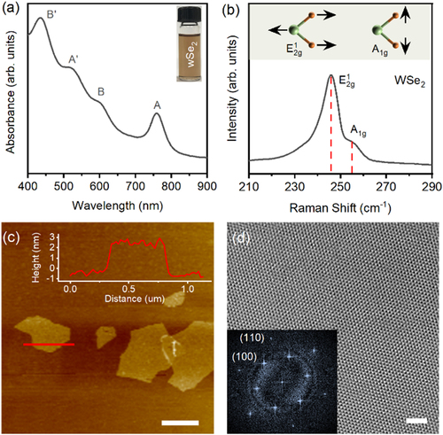 Figure 1. (a) UV-visible spectrum of the as-prepared WSe2 solution. The inset shows the photograph of each dispersion in isopropanol. (b) Raman spectra of WSe2. The inset shows the atomic displacement of the E2g1 and A1g Raman-active modes. (c) AFM image of the exfoliated WSe2 nanoflakes and the corresponding height profile (scale bar: 500 nm). (d) High-resolution TEM image of the exfoliated WSe2 nanoflakes. The inset shows the selected-area electron diffraction image (scale bar: 2 nm).