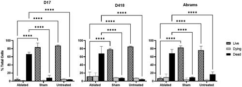 Figure 3. 24-h assessment of histotripsy ablation. (A–C) Graphs of live, dying, and dead OS cells within the histotripsy-ablated, sham-treated, and untreated cell groups. Error bars represent standard deviation (n = 3). Significance was determined with 2-way ANOVA and Tukey’s multiple comparisons tests. **** indicates p < 0.0001.