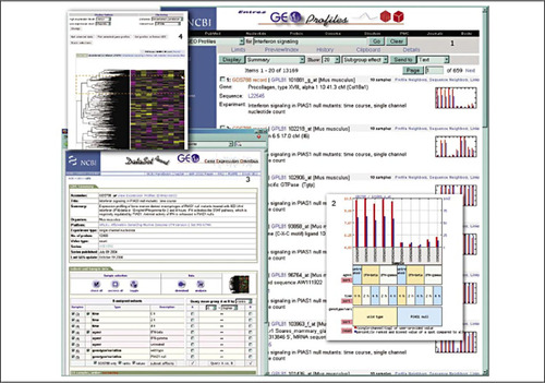 Screenshots from the GEO repository: (1) query for expression profiles; (2) zoom into a single gene profile; (3) DataSet record display; and (4) interactive clustering and query panel.Courtesy of Ron Edgar, NCBI