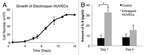 Figure 4. Analysis of the entrapped HUVECs. (A) Growth profile of encapsulated HUVECs based on AlamarBlue® assay. The growth profile of the cells tracked up to 16 d showed increased cell numbers over time, suggesting proliferation. (B) Production of IL-8 by the encapsulated HUVECs displayed elevated secretion of the cytokine on Day 1 as compared with Day 4. Values are mean ± SD (n = 3). * P < 0.002 vs. controls without cells.