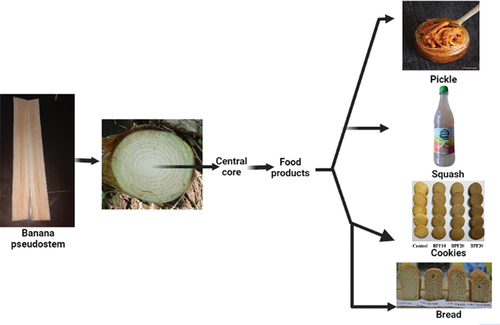 Figure 2. Banana pseudostem-based food products.