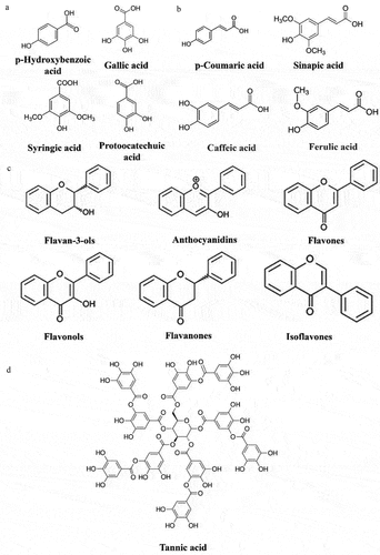Figure 2. Four major classes of phenolic compounds and their chemical structures: (A) phenolic acid-hydroxybenzoic acid derivatives, (B) phenolic acid-hydroxycinnamic acid derivatives, (C) flavonoid compounds, (D) tannins.