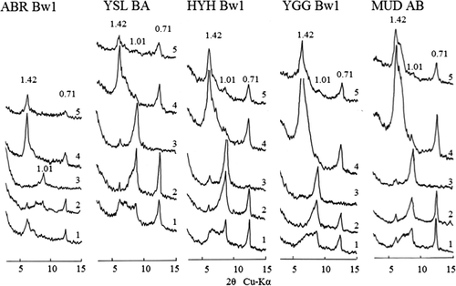 Figure 6. X-ray diffraction patterns of the clay samples from selected subsurface horizons. ABR; Anbo-gawa right side; YSL, Yakusugi-land; HYH, Hanayama-hodou; YGG, Yodogogoya; MUD, Miyanoura-dake.