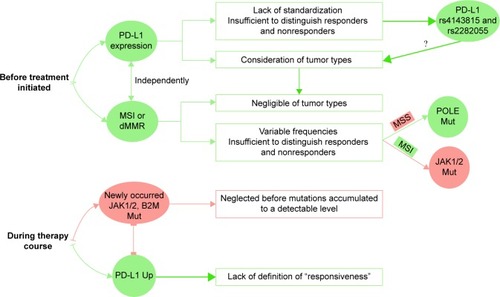 Figure 1 Biomarker network of tumor characteristics before and during PD-1/PD-L1 blockade.