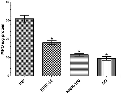 Figure 2. RIR, NRIR-50, NRIR-100, and SG groups on MPO levels in rat renal tissue. NRIR-50, NRIR-100, and SG groups compared with the RIR group. *p < 0.0001.