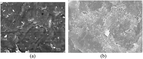 Figure 8. SEM images of YTZP blocks treated by different abrasives (a) YTZP treated with alumina abrasives only and (b) YTZP treated with AACNS.
