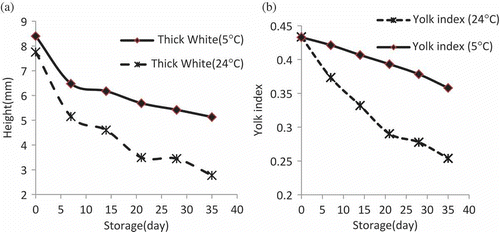 Figure 6  Changes in (a) white thickness and (b) yolk index under different storage conditions.