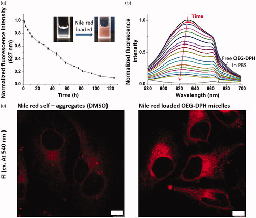 Figure 4. Fluorescence of Nile Red upon release from NR/OEG-DPH micelles in PBS (pH 7.4) (a). Inserted photos showed the loading process. Ex = 550 nm. Fluorescence emission spectra of NR/OEG-DPH with the time increase (b). Confocal microscopy images of Hela cells treated with Nile Red self-aggregates (10 μL DMSO/mL DMEM) and NR/OEG-DPH (0.1 mg/mL) for 2 h (c). Nile red was excited at 550 nm. The scale bar was 10 μm.