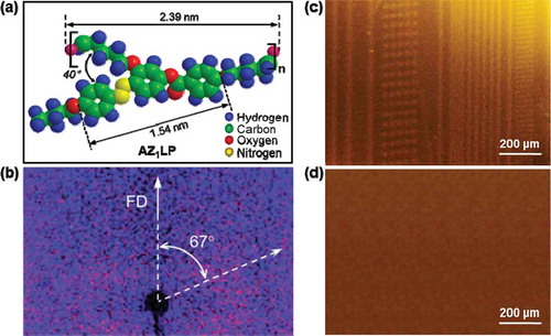 Figure 8. Schematic illustrations of photochromic polymer of AZ1LP (a). 2D WAXD pattern of the uniaxially oriented AZ1LP fibre (b). Writing the micropatterns on the AZ1LP film by exposing the UV light through the photomask (c) and erasing them by back isomerisation reaction (d). Reproduced with permission [Citation75].