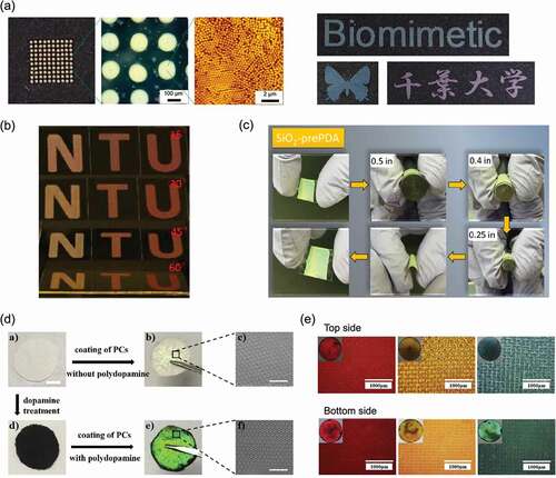 Figure 8. (a) Structural color printing by inkjet using an aqueous dispersion of PS@PDA particles. Reproduced with permission from [Citation98] (Copyright 2019, Nature Publishing Group). (b) IFAST printing of PS@PDA particles. Reproduced with permission from [Citation99] (Copyright 2019, American Chemical Society). (c) Structural color film made on a flexible PET substrate by EPD of pre-PDA and SiO2 particles. Reproduced with permission from [Citation100] (Copyright 2019, American Chemical Society). (d) Structural colors obtained by assembling polymer particles on fabrics with and without PDA coating. Reproduced with permission from [Citation102] (Copyright 2019, Elsevier). (e) Structural colors obtained by building a colloidal crystal structure consisting of PS@PDA particles on both sides of the fabric. Reproduced with permission from [Citation103] (Copyright 2019, Elsevier)