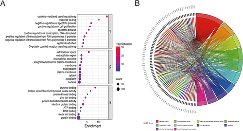 Figure 3 GO and KEGG functional pathway enrichment analyses. (A) Top 10 GO analyses of the biological process (BP), cellular component (CC), and molecular function (MF). The color scale of the bubble chart indicates the p-value, and the dot size means the gene count in each term. (B) Top 10 results of KEGG pathway enrichment analyses and the related genes.