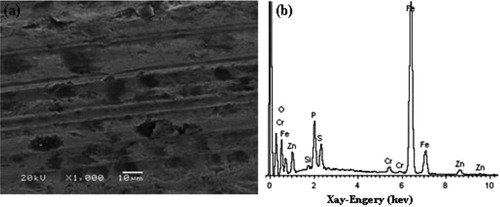 Figure 12. (a) Morphology and (b) original wave crest curve of wear surface by using composite nanoparticles-based grease.