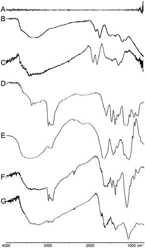 Figure 2. FTIR spectra of graphite (A), synthetic GO (B), commercially available GO (C), PEA (D), HA (E), GO–PEA (F), and GO–PEA–HA (G).