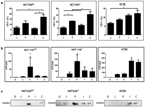 Figure 4. Emission of immunogenic cell death markers in response do gene transfer