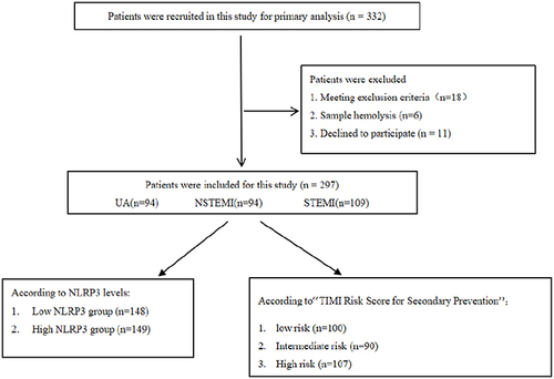 Figure 1 Flowchart of the study patients.