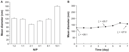 Figure 1 Mean diameter of dodecylated chitosan–plasmid DNA nanoparticles at different charge ratios (A); Size and zeta potential of dodecylated chitosan-plasmid DNA nanoparticles (at charge ratio of 2:1) over a 7-day incubation period (B).