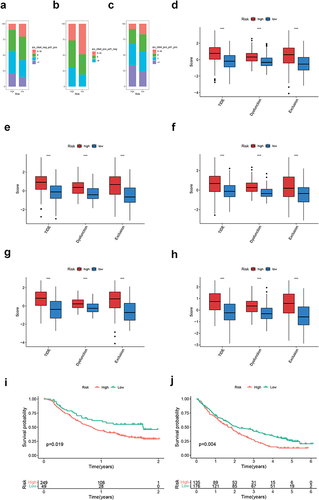 Figure 9 Immunotherapeutic sensitivity analysis of CRGS risk score signature. (a–c) Bar plots showing IPS differences for ICB treatment between high- and low-risk groups in TCGA cohort. Boxplots showing differences in TIDE scoring between high- and low-risk patients in (d) meta-cohort, (e) TCGA cohort, (f) GSE62254, (g) Lei cohort and (h) GSE84437. (i and j) Kaplan–Meier plots for high- and low-risk patients in IMvigor210 and Braun’s cohort. Statistical significance: ***P<0.001.