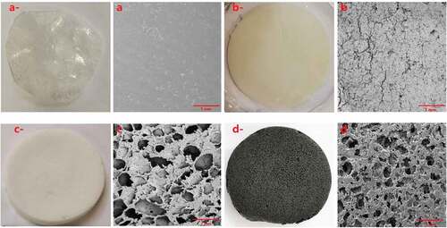 Figure 3. Surface morphology. (a-: photo of PS; a: SEM of PS; b-: photo of CP b: SEM of CP; c-: photo of CPS; c: SEM of CPS; d-: photo of CPSG; d: SEM of CPSG).