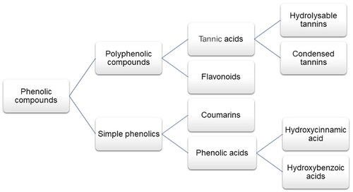 Figure 1. Overview of the classification of phenolic compounds [Citation16–18].