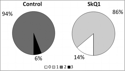 Figure 1. Treatment with 250 nmol/kg per day of SkQ1, starting at 1.5 months of age, attenuated the development of retinopathy in OXYS rats. The data are presented as stages (0, 1, 2, and 3) of retinopathy in 4-month-old control (untreated) and SkQ1-treated OXYS rats. In each group, 50 eyes of 25 animals were examined.