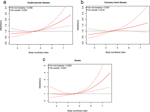 Figure 2. Dose-response associations of BRI with incident study outcomes. (a) CVD. (b) CHD. (c) stroke. The independent variable (horizontal axis) is the BRI level, and the dependent variable (vertical axis) is the hazard ratio for the outcome. Point estimates (solid lines) and 95% confidence intervals (dashed lines) were estimated by restricted cubic splines analysis with knots placed at the 10th, 50th, and 90th percentiles (the median as the reference).