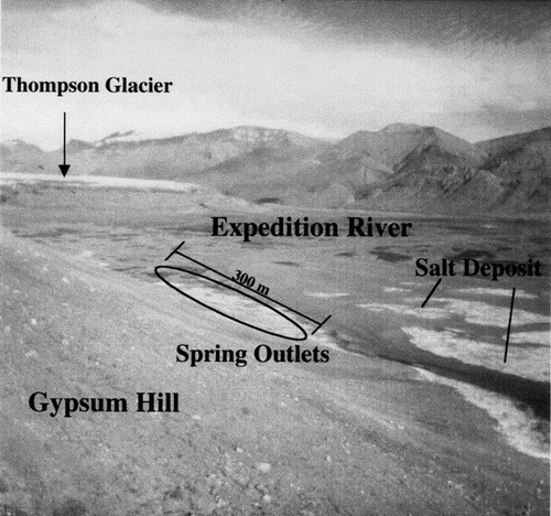 FIGURE 3. Image taken 16 July 1995 showing the relative locations of Expedition River, Gypsum Hill, Thompson Glacier, and the spring outlets. The spring outlets are located at the base of Gypsum Hill. The salt deposits within the river show the location of the wintertime icing. These remnant salt deposits are being washed away by meltwaters emanating from the Thompson Glacier which flow down the Expedition River during the summer months. Washout is typically complete by the end of June