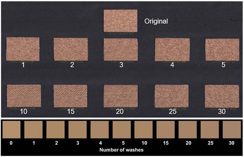 Figure 1. Pictures of fabric samples in function of the number of washes. (up: scanner of the real samples; down: simulated colors based on L*a*b* results).