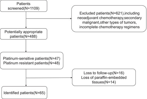 Figure 1 Flowchart used to identify suitable patients for the study. A total of 1109 patients were identified by an initial screening. After excluding inappropriate patients, 65 patients remained for analysis.