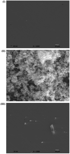 Figure 14. SEM images of the carbon steel samples surface: (I) polished sample, (II) after immersion in the seawater solution without inhibitor and (III) after immersion in the seawater solution in the addition of 250 ppm of Leu-PASP compound.