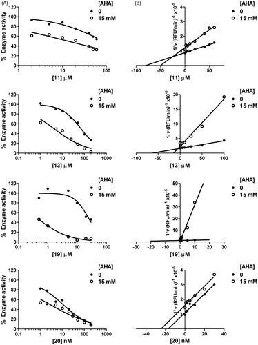 Figure 4. AHA increases inhibitory potency of compounds 11, 13 and 19 on MMP-13. Dose-response (A) and Yonetani–Theorell plots (B) for MMP-13 inhibition by compounds 11, 13, 19 and 20 in the absence and presence of a fixed concentration (15 mM) of AHA. In A, residual activity refers to the uninhibited enzyme.