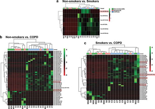 Figure 4. Hierarchical cluster analysis of differentially expressed miRNAs.(a) Heatmap clustering of the differentially expressed miRNAs significant among non-smokers vs. smokers groups. (b) Heatmap clustering of the differentially expressed miRNAs significant among non-smokers vs. COPD groups. (c) Heatmap clustering of the differentially expressed miRNAs significant among smokers vs. COPD groups. These miRNAs were identified based on individual pairwise comparisons (with unadjusted raw p-value; P < 0.05). The analysis was generated using Z scores of the most differentially expressed significant miRNAs. The dendrogram shows clustering of pairwise comparisons among the different groups (non-smokers vs. smokers, non-smokers vs. COPD and smokers vs. COPD). A few of the miRNA targets significantly increased in non-smokers vs. smokers, non-smokers vs. COPD and smokers vs. COPD from RNA-seq analyses that correlate with qPCR validation and NanoString using in vitro BEAS-2B cells control vs. CSE treatment were highlighted in a red box.