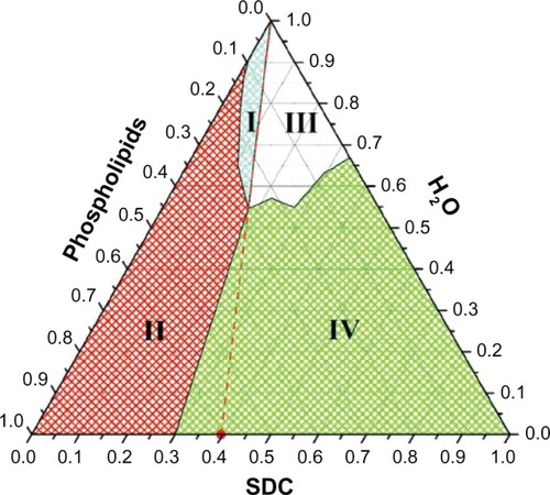 Figure 1 The ternary phase diagram of the SDC/phospholipids/water solutions.Abbreviation: SDC, sodium deoxycholate.