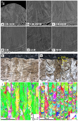 Figure 23. Grain morphology over a cross-section of melt track roots at (a-c) various laser powers (C-M: circular-medium size beam profile) and (d-f) various beam profiles where the equiaxed area is 2%, 28%, and 77% for the C-M, LE-M, and T E-M, respectively (C: circular, LE: longitudinal elliptical, TE: transverse elliptical) (Reproduced with permission from[Citation145]), (g,h) optical micrographs of melt pools in samples scanned parallel and perpendicular to shielding gas direction, respectively, and (i,j) their corresponding IPF maps (Reproduced with permission from[Citation183]).