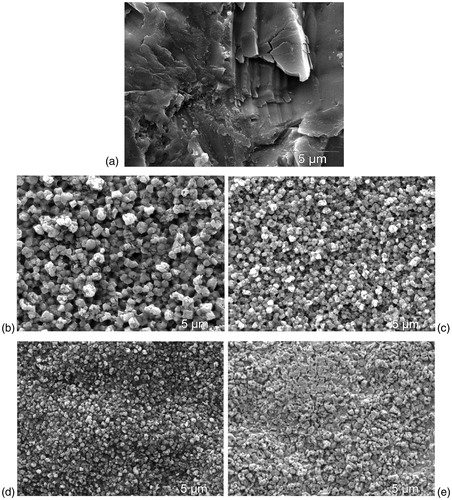 Figure 3. SEM images of the zirconia disc specimens (reference) after different surface treatments (a) Sandblasted; (b) K[FHF] powder, etched; (c) K[FHF] slurry, etched; (d) NH4[FHF] powder etched; (e) NH4[FHF] slurry etched.